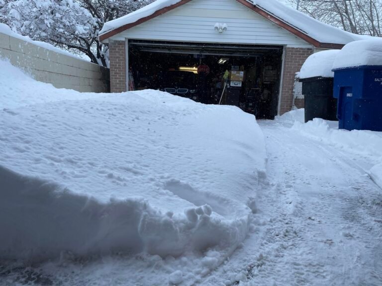 Miten Teen Lähitapiolan Autolle Liikennekäytöstä Poiston