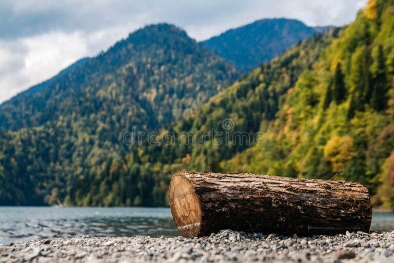 Miten Metsän Myynti Vaikuttaa Ansiosidonnaiseen Päivärahaan 1 Miten Metsän Myynti Vaikuttaa Ansiosidonnaiseen Päivärahaan