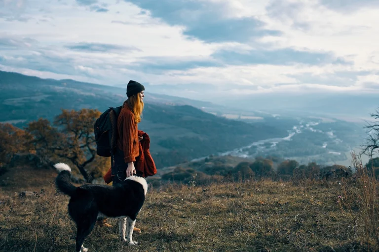 Mitä Tehdä, Jos Koira Puree Toisen Koiran – Saako Korvausta 4 Mitä Tehdä, Jos Koira Puree Toisen Koiran – Saako Korvausta